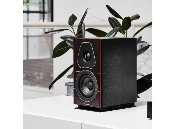 Sonus Faber Lumina I og Rega io Stereopakke med høyttalere i wenge