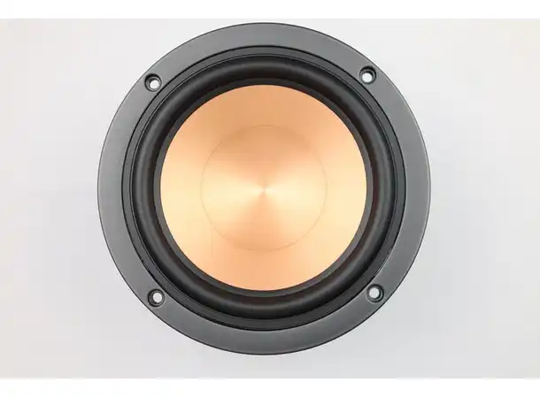 Klipsch RC-64 II - Woofer STK 
