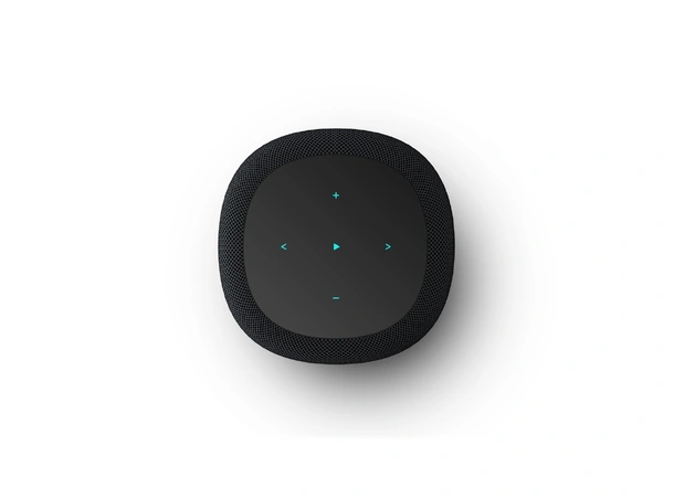 WiiM Sound - Sort Trådløs høyttaler 