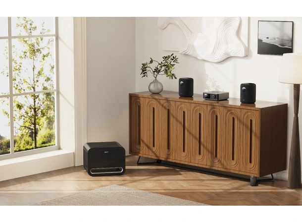 WiiM Sound - Sort Trådløs høyttaler 