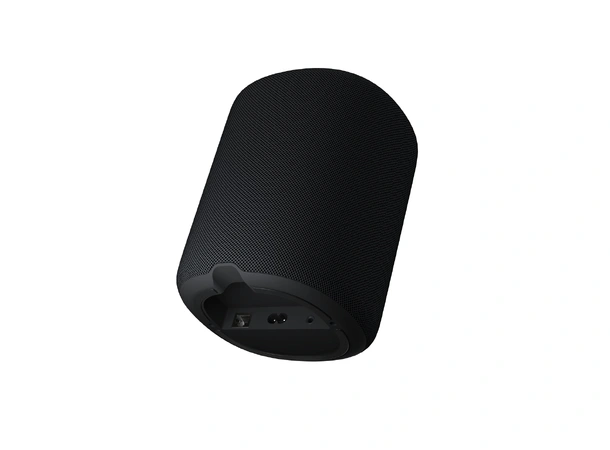 WiiM Sound - Sort Trådløs høyttaler 