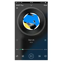iEast ePlay 2 PRO - Streamer Tidal, Spotify, multirom