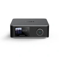 Wiim Ultra - Grå Streamer, forforsterker, HDMI, RIAA