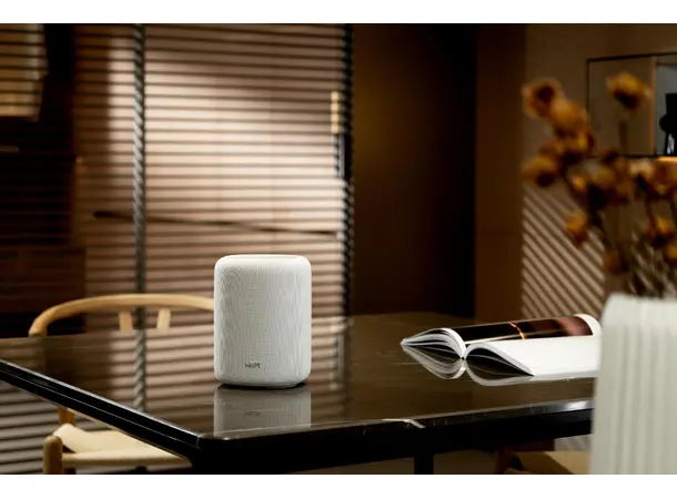 WiiM Sound Lite - Hvit Trådløs høyttaler 