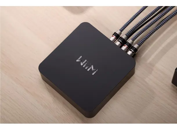 Wiim Pro Plus Streamer Bit-perfect Streamer 