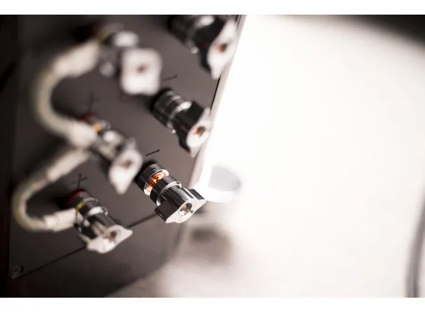 XTZ Divine Alpha gulvstående høyttaler Accuton, SEAS, High End 